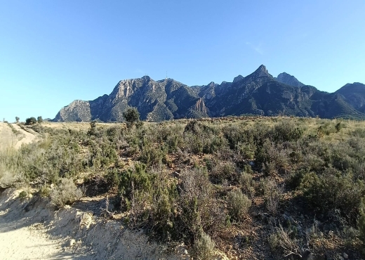 26 hectares à vendre