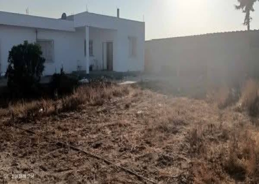 2 hectares à vendre