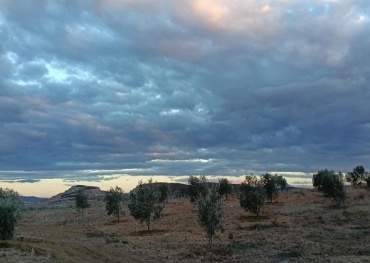 Terrain agricole à vendre plus  deux studio
