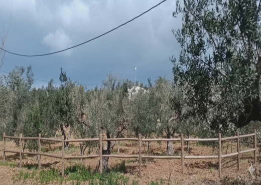 TERRAIN AGRICOLE A VENDRE