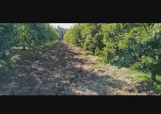 société agricole à vendre - image 3