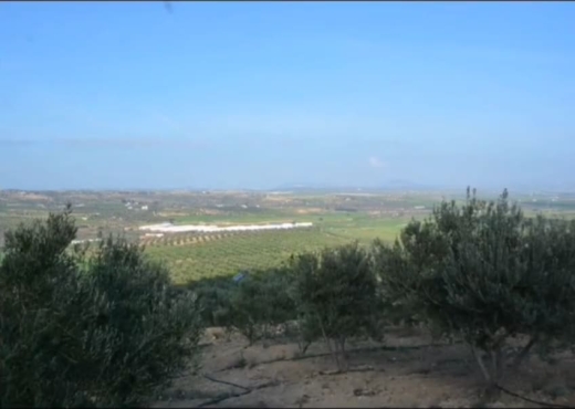 terrain agricole certifié bio - image 3