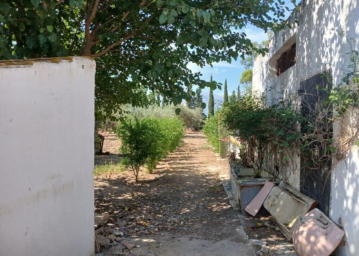 A Vendre Ferme + 2 Maison a Zaghouan - image 4