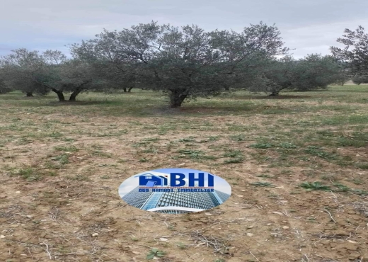 terrain agricole à vendre - image 4