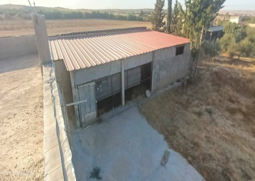 2 hectares à vendre - image 4