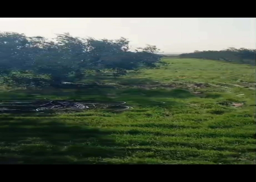 TERRAIN AGRICOLE A VENDRE - image 2