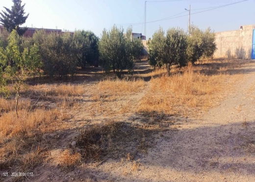 2 hectares à vendre - image 2