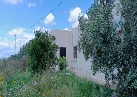 À VENDRE MAISON À ZAGHOUAN - image 3