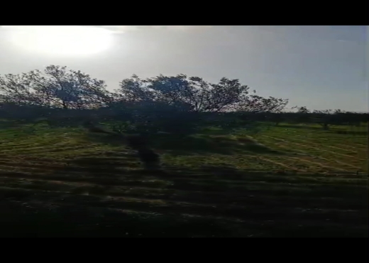 TERRAIN AGRICOLE A VENDRE - image 3