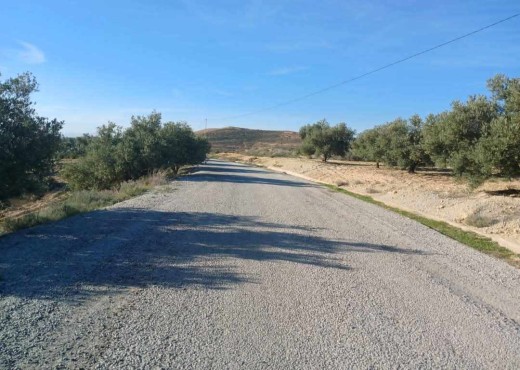 terrain agricole - image 3