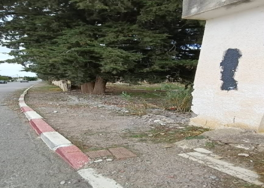 terrain à vendre - image 3