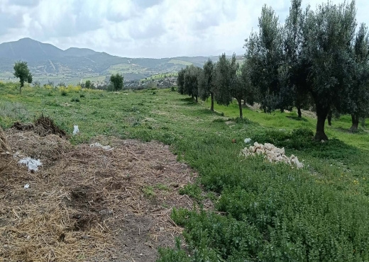 terrain agricole à vendre +maison - image 2