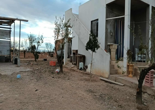 Terrain agricole à vendre plus  deux studio