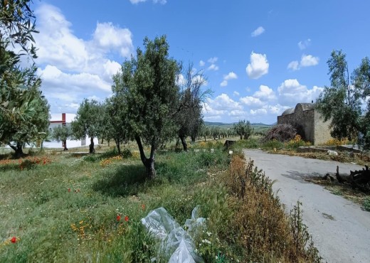 À VENDRE MAISON À ZAGHOUAN - image 2