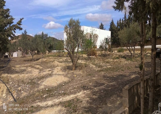 terrain agricole - image 4