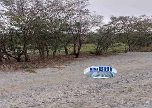 terrain agricole à vendre