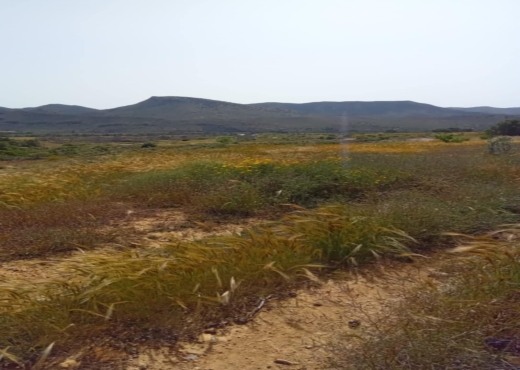 terrain agricole - image 4