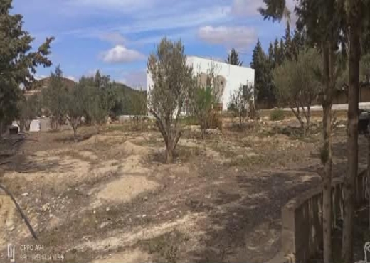 Terrain agricole à vendre - image 2