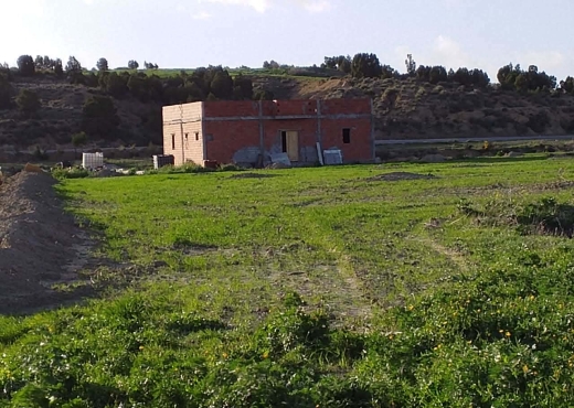 TERRAIN AGRICOLE A VENDRE - image 3