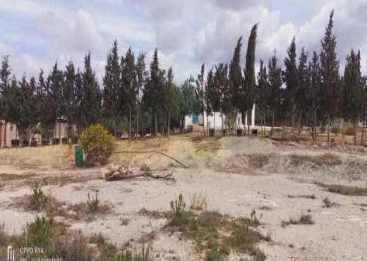 Terrain agricole à vendre