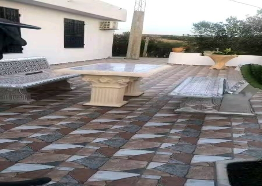 villa à vendre - image 3