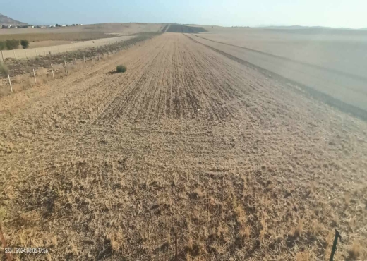 2 hectares à vendre - image 3