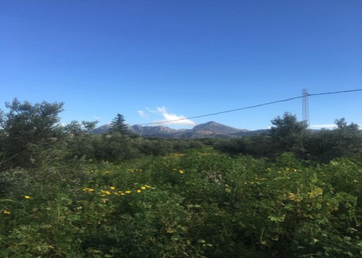 terrain agricole - image 3