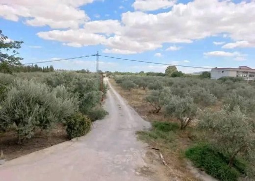 terrain agricole - image 2