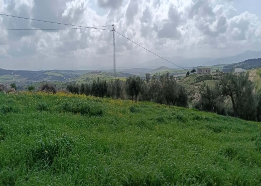 terrain agricole à vendre +maison