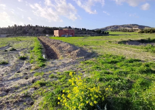TERRAIN AGRICOLE A VENDRE - image 2