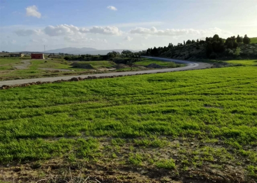 TERRAIN AGRICOLE A VENDRE - image 4