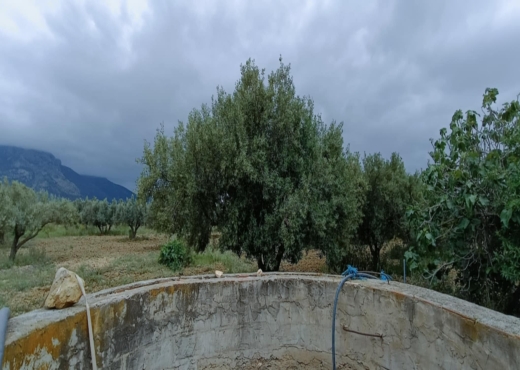 terrain agricole - image 2