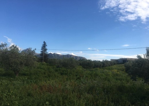 terrain agricole - image 4