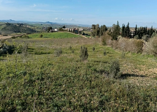 TERRAIN AGRICOLE A VENDRE