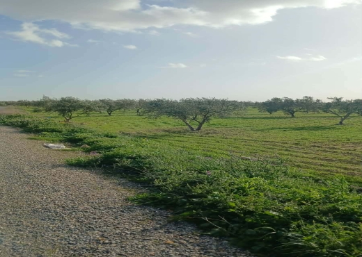 TERRAIN AGRICOLE A VENDRE