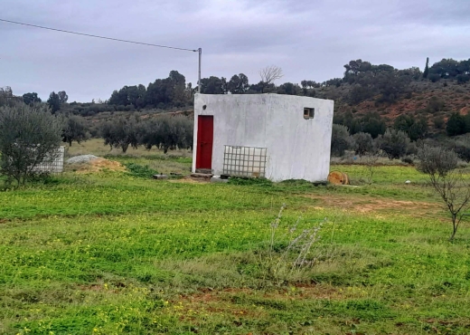 Terrain agricole à vendre - image 3