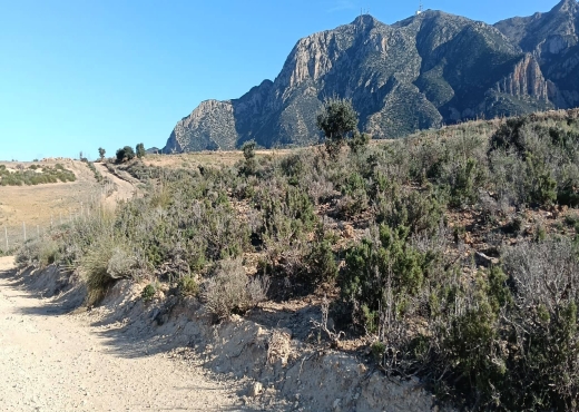 26 hectares à vendre - image 4