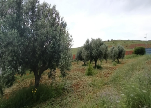 terrain à vendre comprenant une villa - image 4