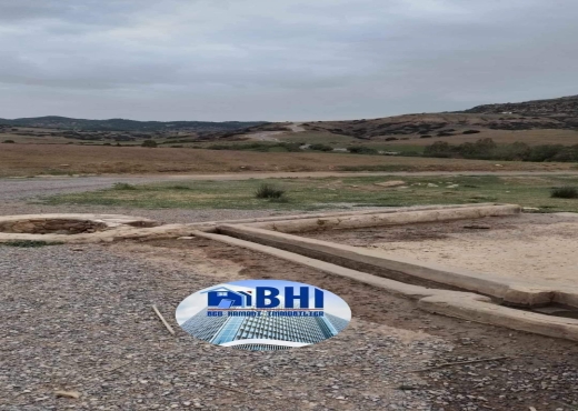 terrain agricole à vendre