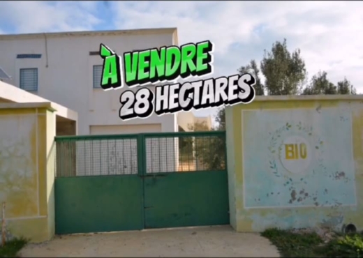 terrain agricole certifié bio