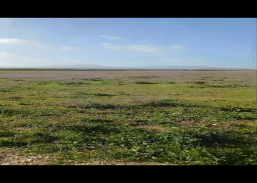 TERRAIN AGRICOLE NU A VENDRE