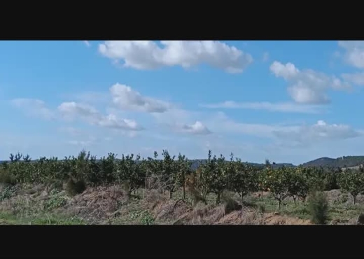 société agricole à vendre - image 4