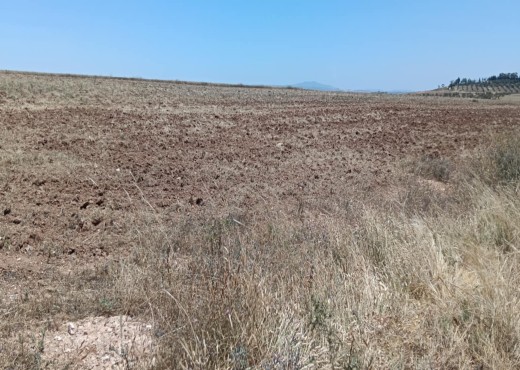 terrain agricole - image 4