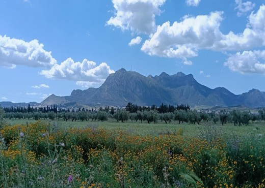 À VENDRE MAISON À ZAGHOUAN - image 4