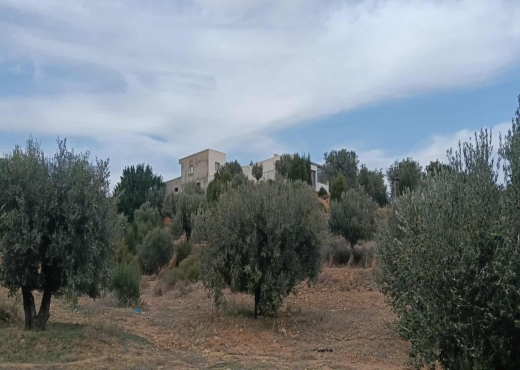 TERRAIN A VENDRE - image 3