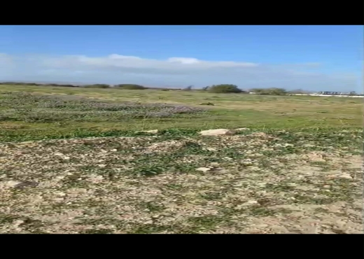 TERRAIN AGRICOLE NU A VENDRE