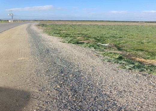 TERRAIN AGRICOLE NU A VENDRE - image 3