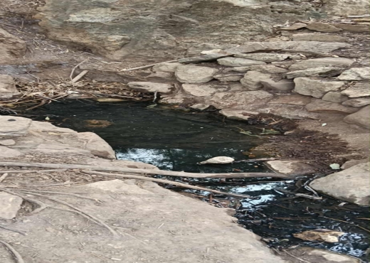 TERRAIN A VENDRE - image 4