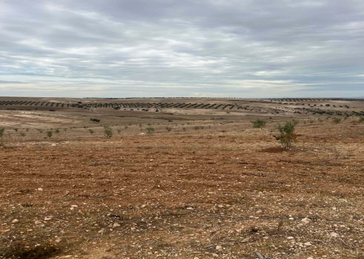 Terrain agricole à vendre - image 3