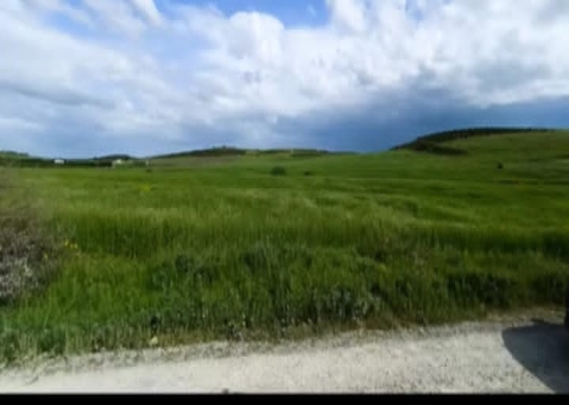 terrain agricole à vendre